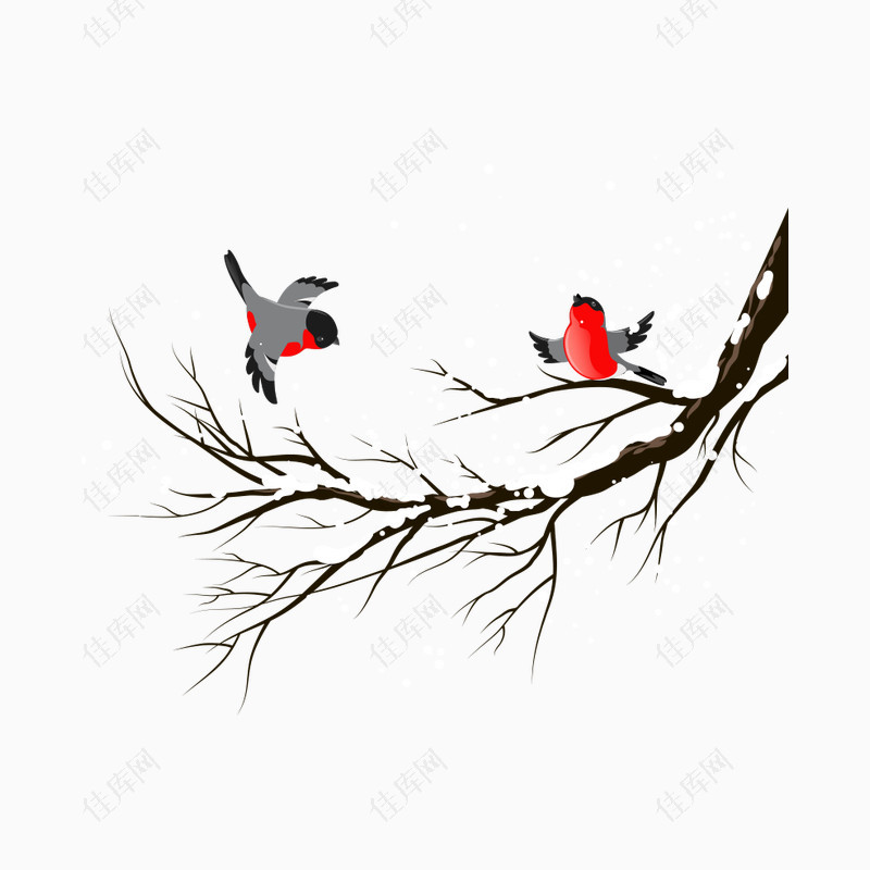落雪的树枝上两只小鸟