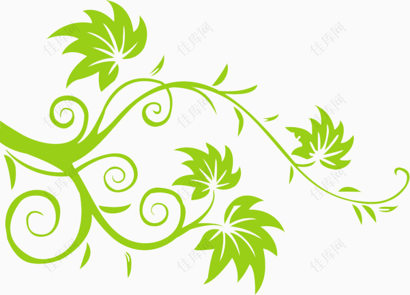 绿色藤蔓装饰