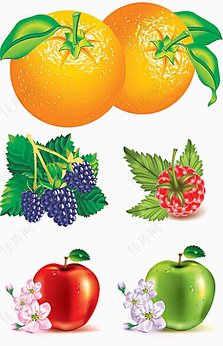 各种新鲜水果