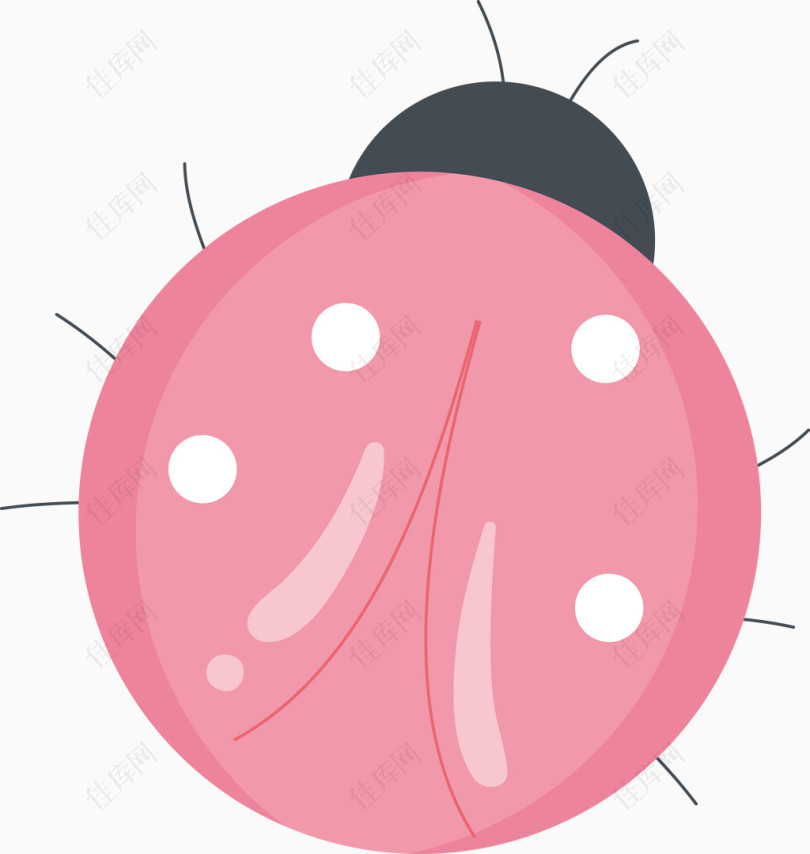 粉色圆形瓢虫矢量素材