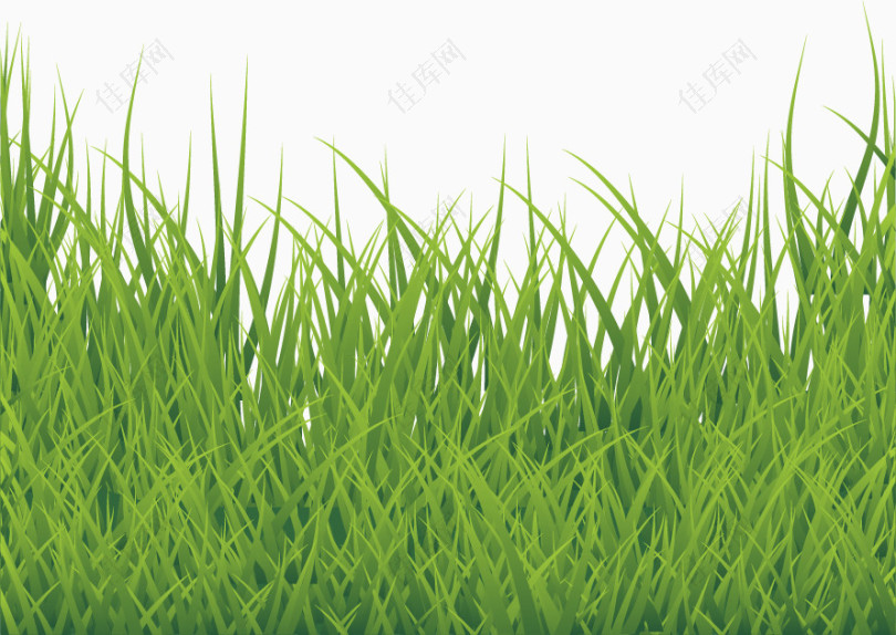 矢量手绘绿色草地