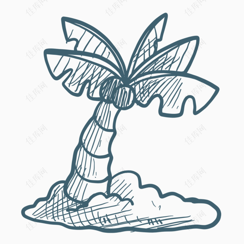 手绘风椰子树