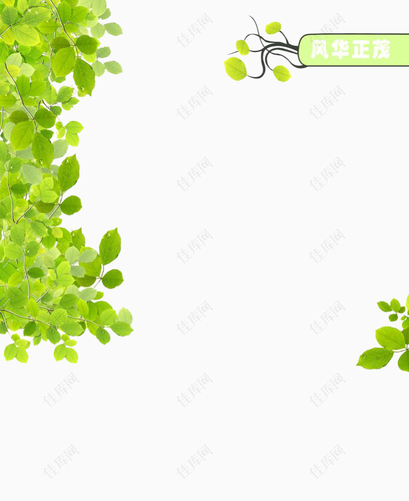 绿色树叶春背景png元素图片素材 佳库网
