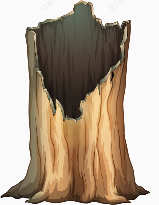 树洞木桩