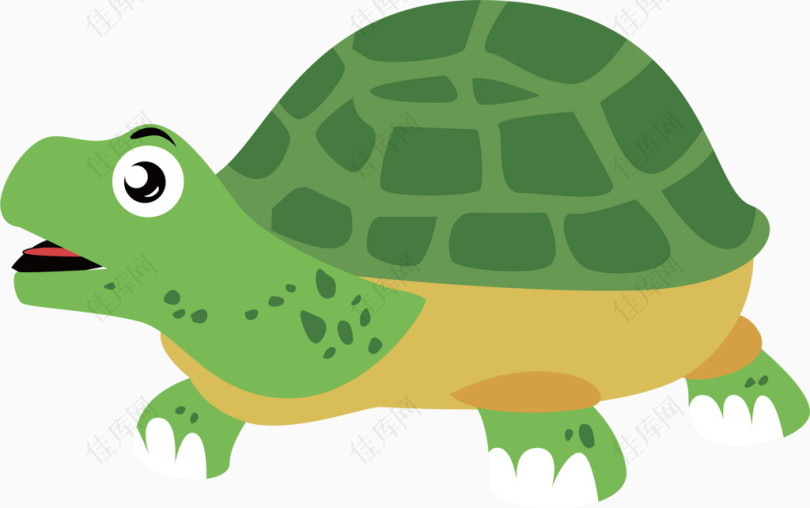 绿壳乌龟矢量图