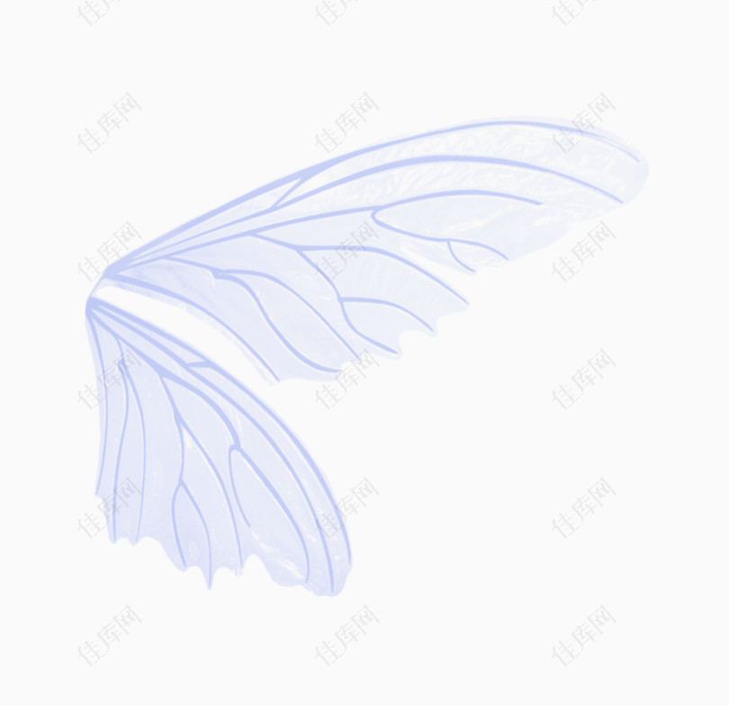 蓝色翅膀