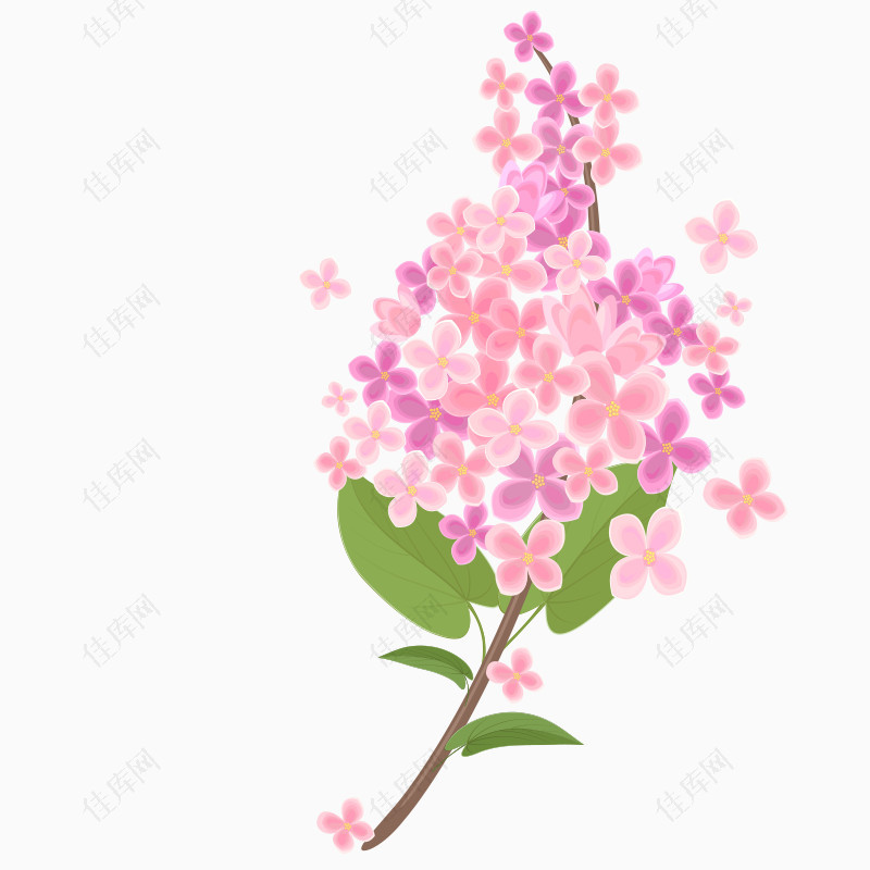 粉紫色手绘丁香花