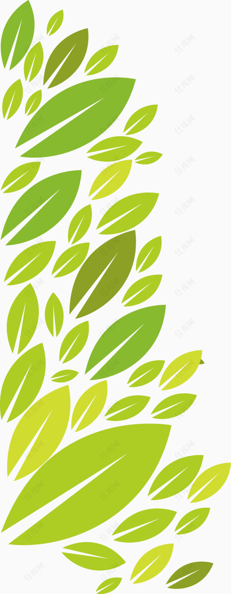 绿色叶子装饰