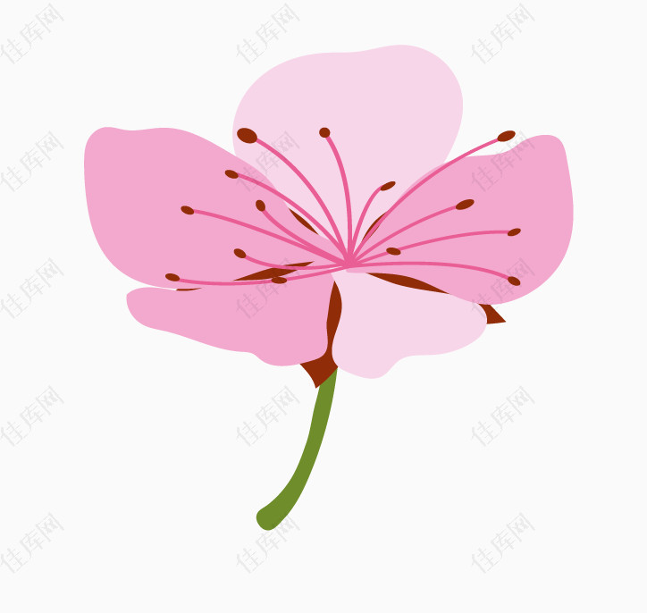 清新粉色花瓣花朵花卉元素