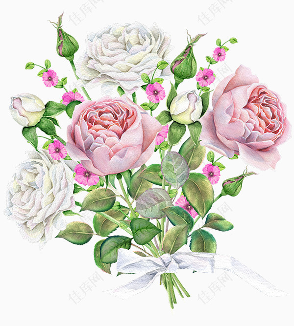 白色粉红色花朵鲜花