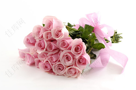 浅粉色玫瑰花束