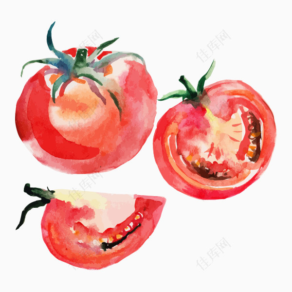 水彩手绘西红柿番茄png素材