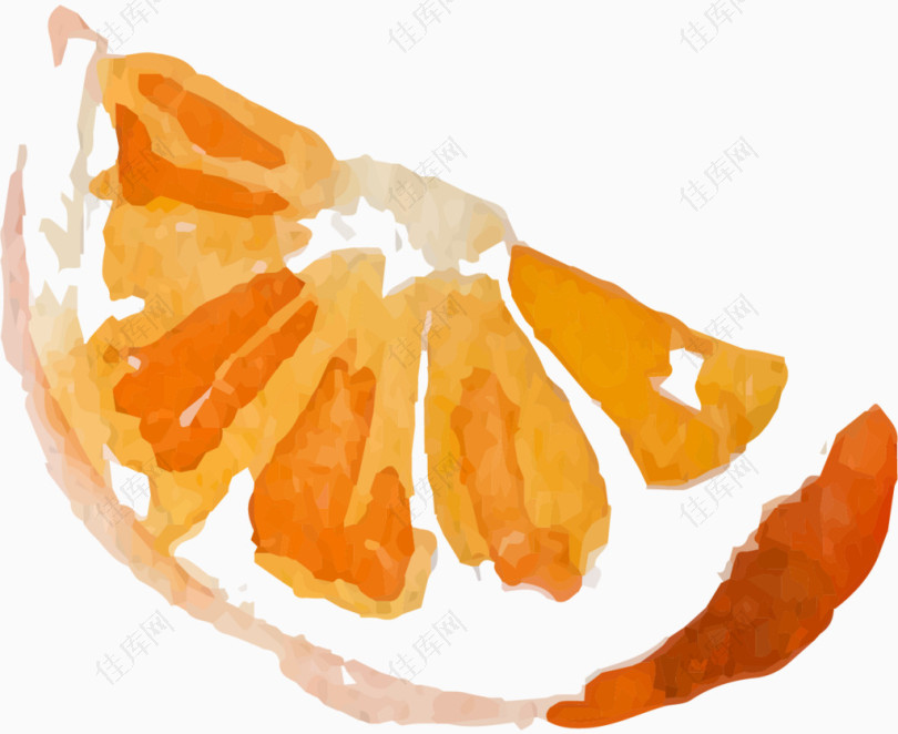 手绘水彩橘子瓣