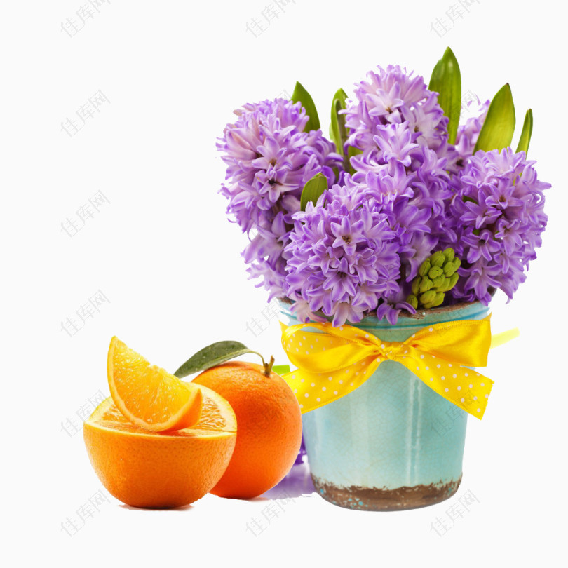 木兰花和甜橙