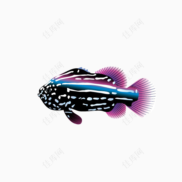 淡紫色花纹鱼矢量图