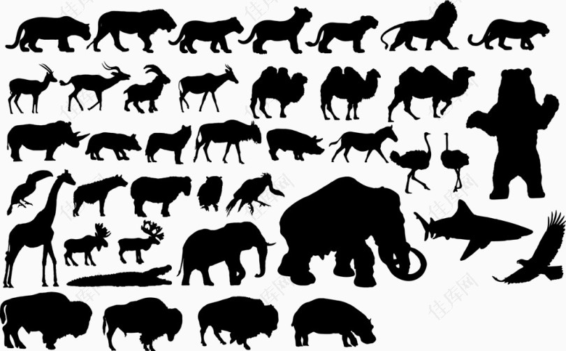 非洲动物剪影合集