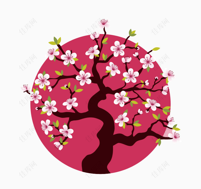 盛开的粉色樱花树矢量素材