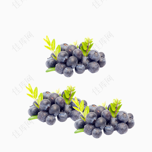 进口新鲜蓝莓水果绿色食品