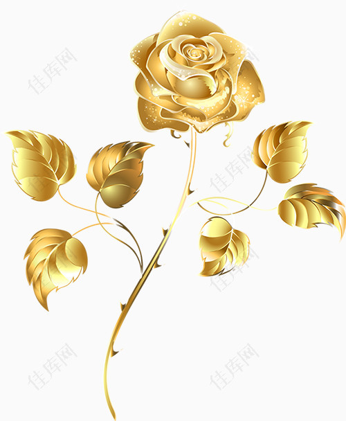 手绘金色玫瑰