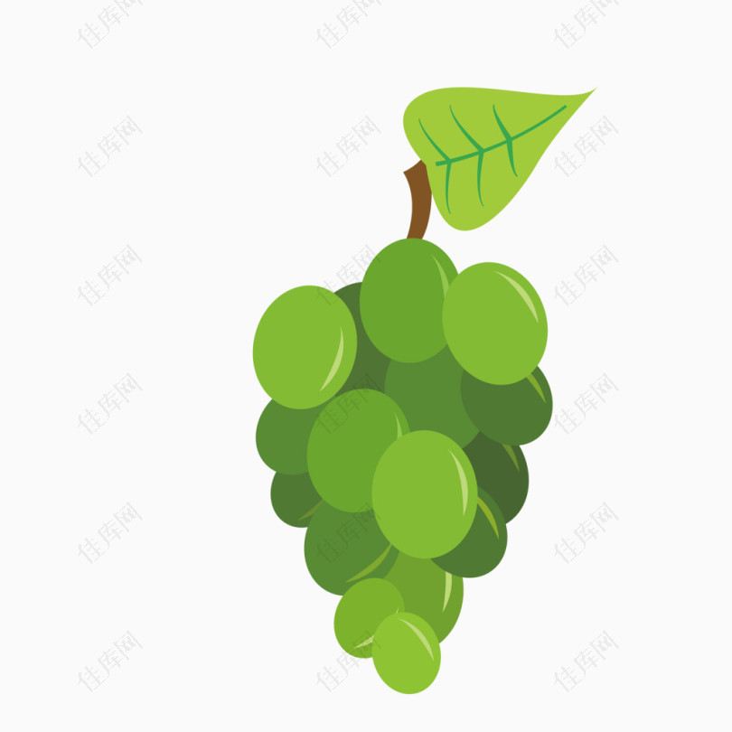 绿色葡萄