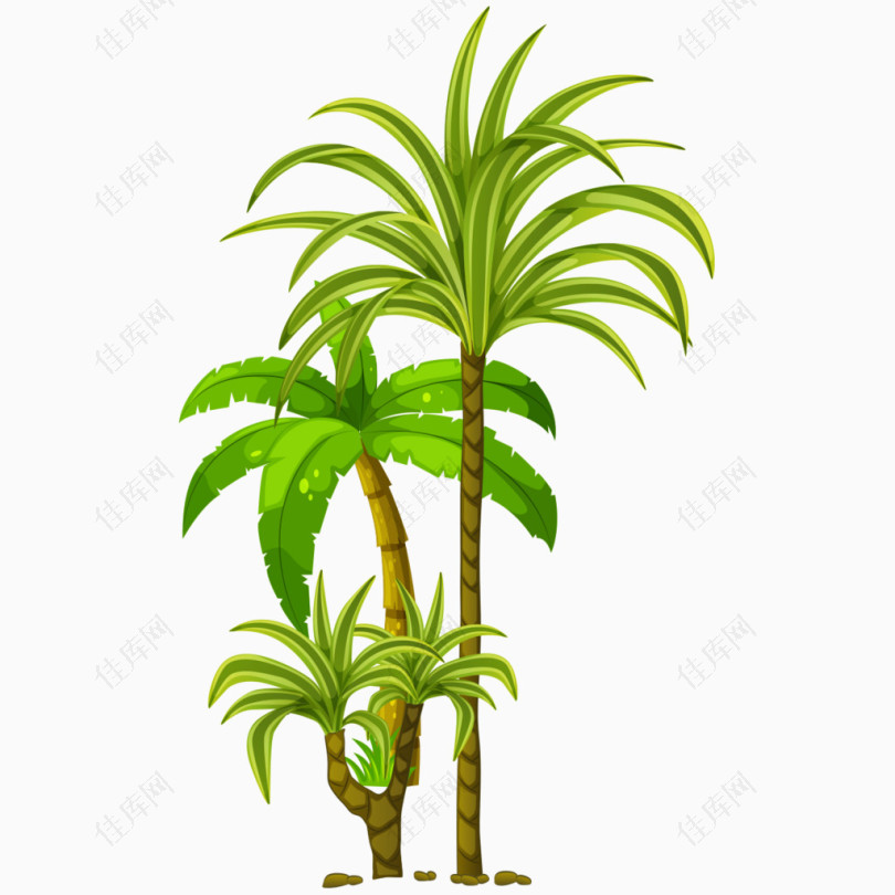 手绘椰子树热带树木
