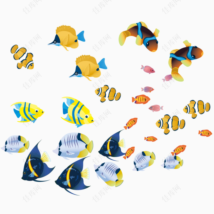 海底生物各式各样的海洋生物