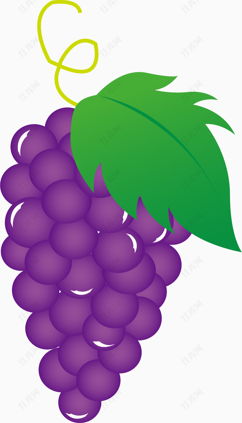 矢量紫色葡萄效果元素免抠素材
