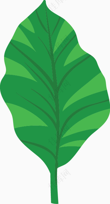 绿色植物装饰图