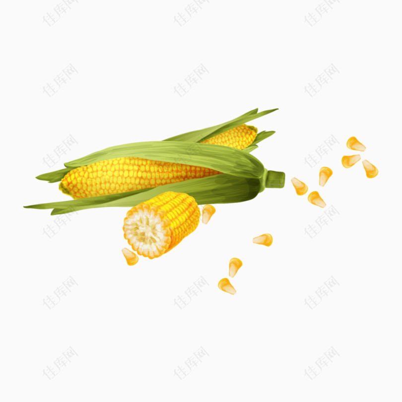 玉米掰开的玉米玉米粒
