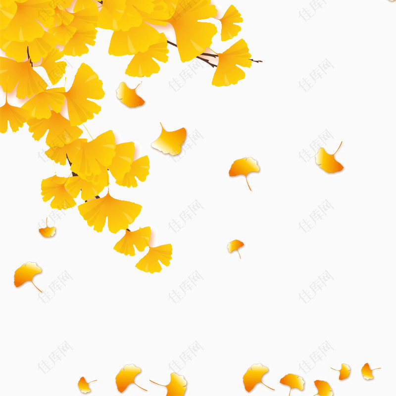 黄色树叶