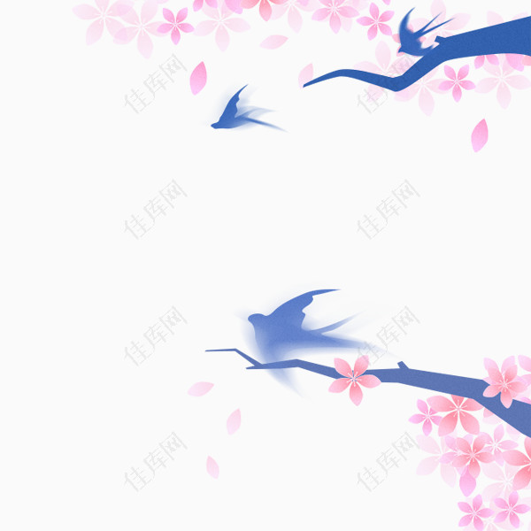 春季樱花树下燕子