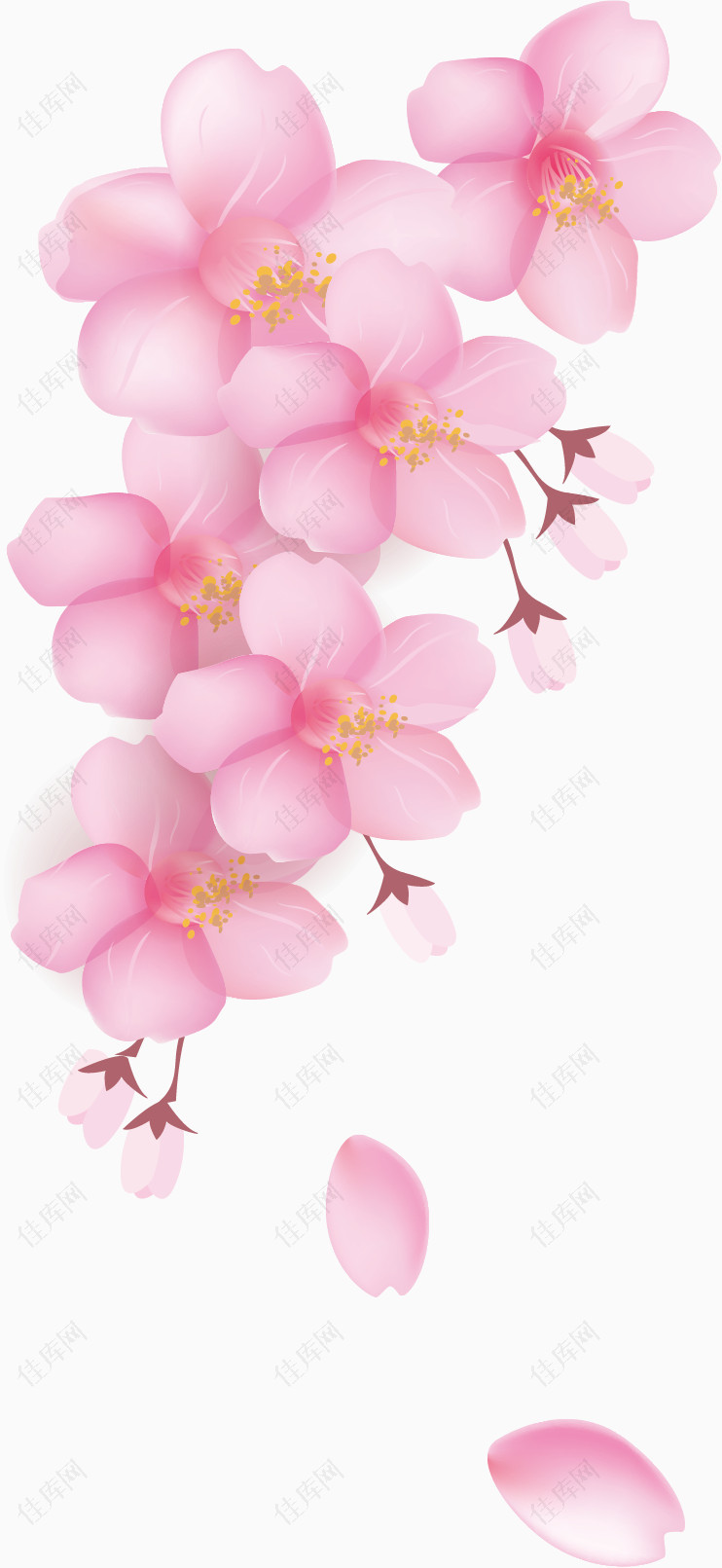 樱花花瓣元素