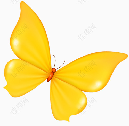 黄色蝴蝶卡通