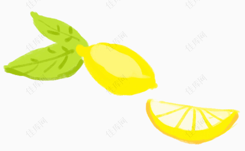 水彩水果柠檬画