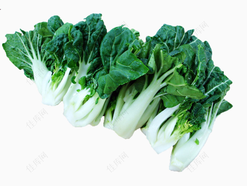 食物剪影手绘食物素材青菜蔬菜