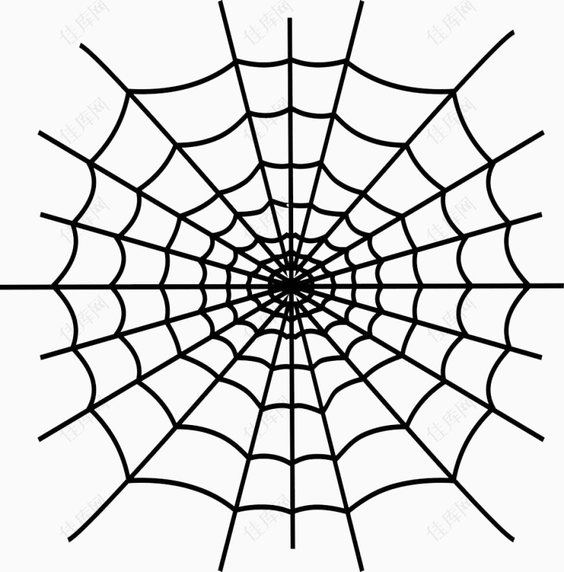 黑色蜘蛛网