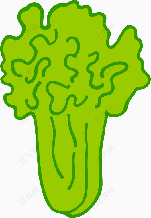 蔬菜卡通图白菜