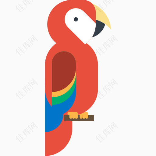 彩色啄木鸟