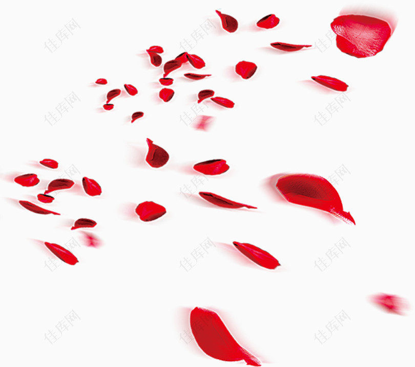 红色玫瑰花瓣飞舞图案