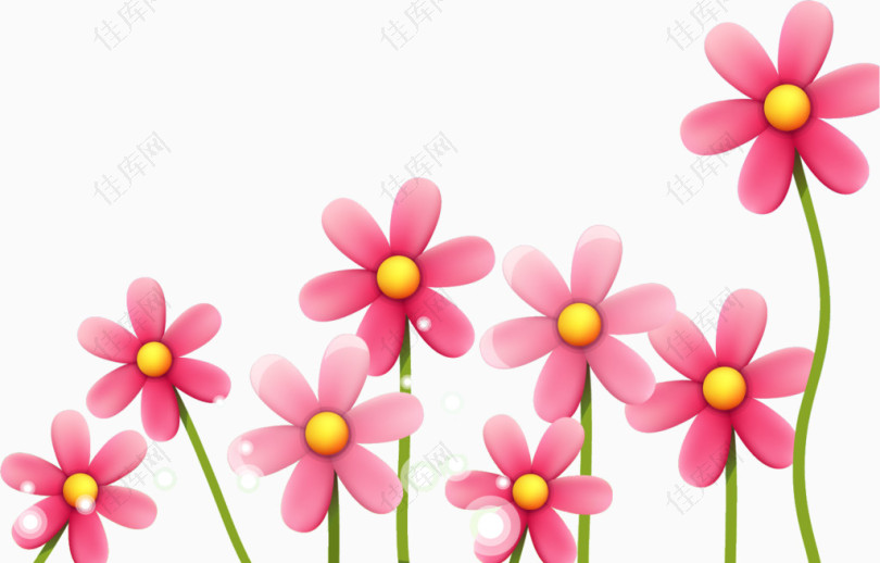 粉色花朵植物