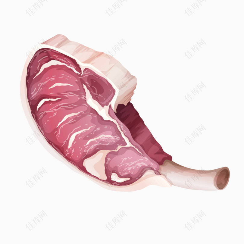 红色生肉食材腿肉