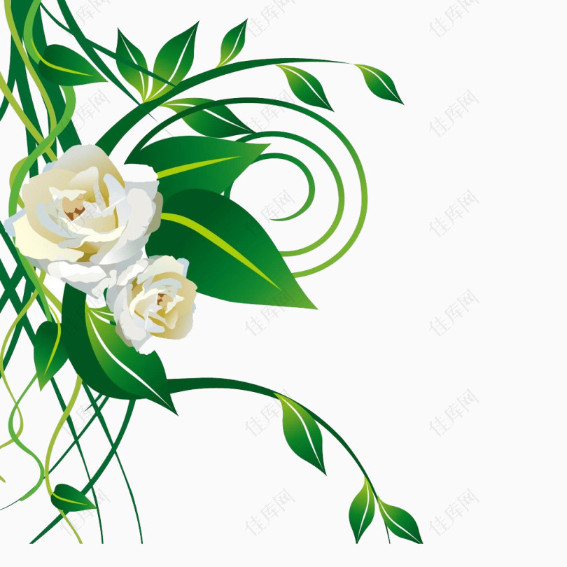 白色花儿