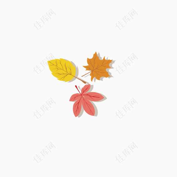秋风扫落叶