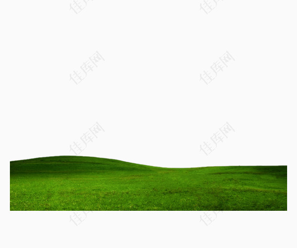 绿色草原平原