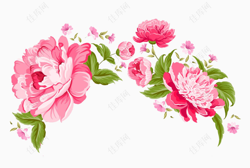 手绘粉色花卉