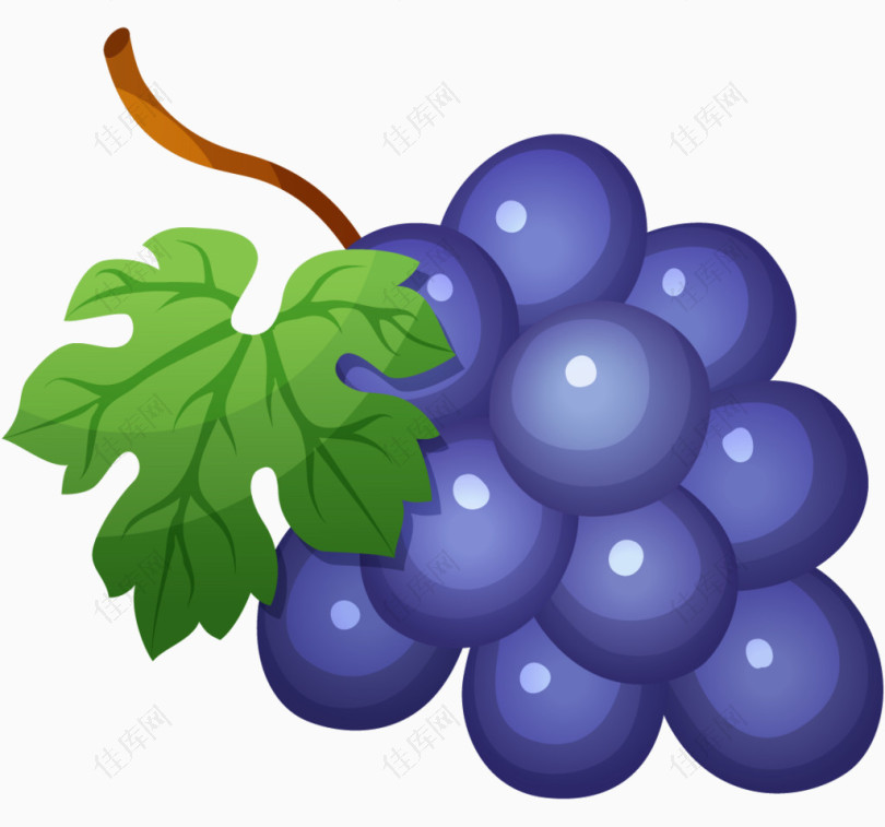 卡通手绘水果葡萄