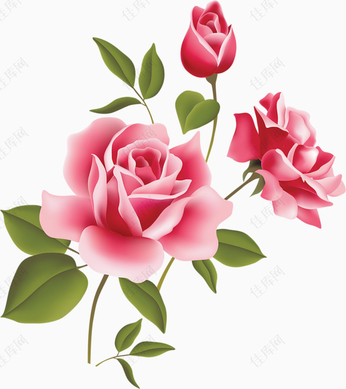 庆典花卉花卉图案素材唯美玫瑰花