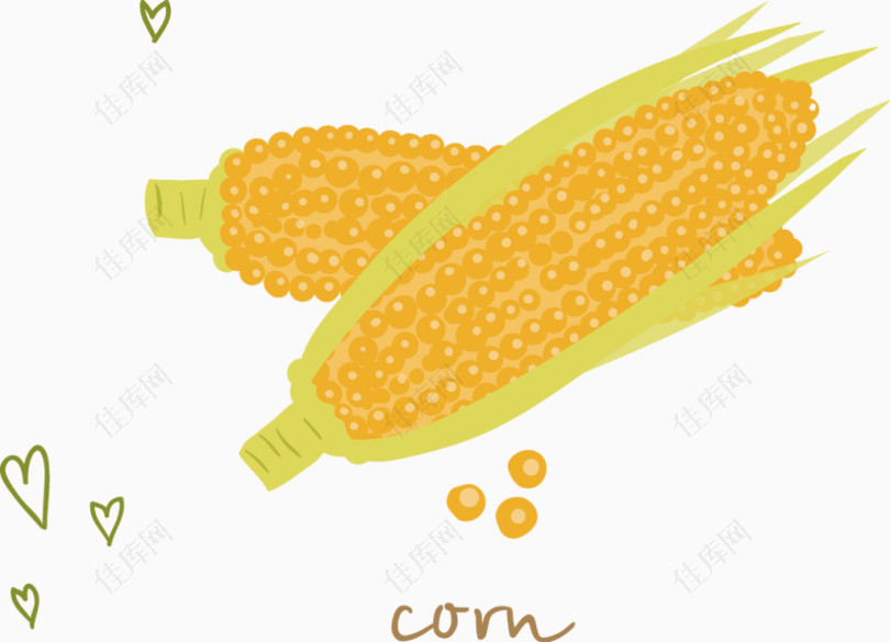卡通手绘玉米