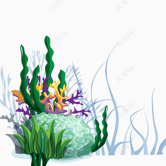 海底水藻珊瑚植物