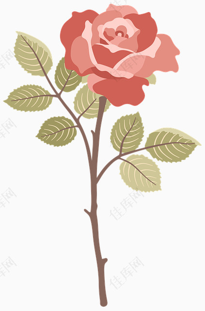 一朵带刺粉色玫瑰